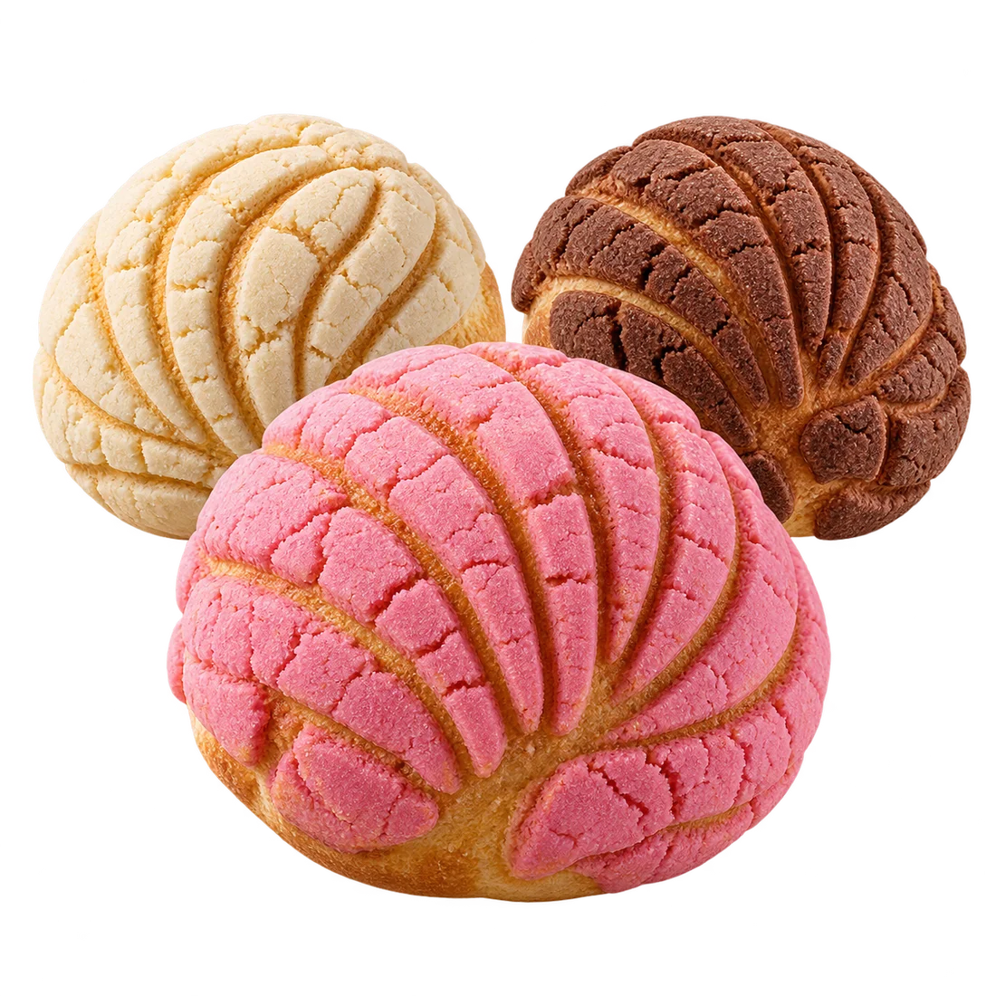 Illustrative pink, vanilla, and chocolate conchas floating in a studio composition